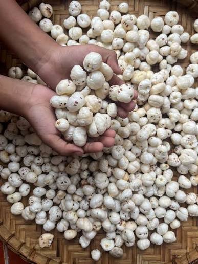 Makhana fox nuts in a bowl